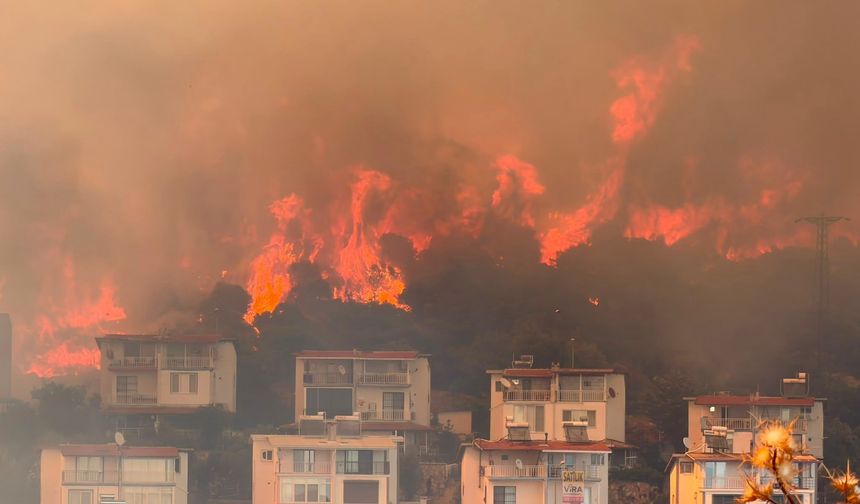 İzmir'de makilik alandaki yangın kontrol altına alındı