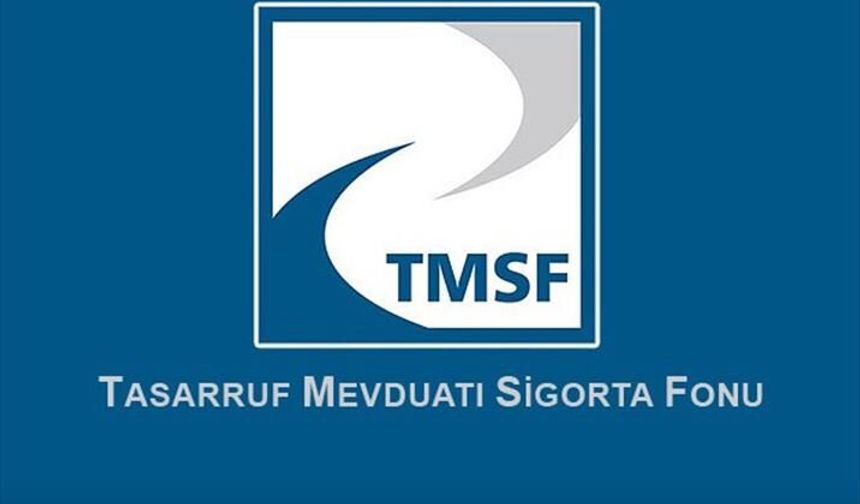 ABD'deki FETÖ davasını TMSF kazandı