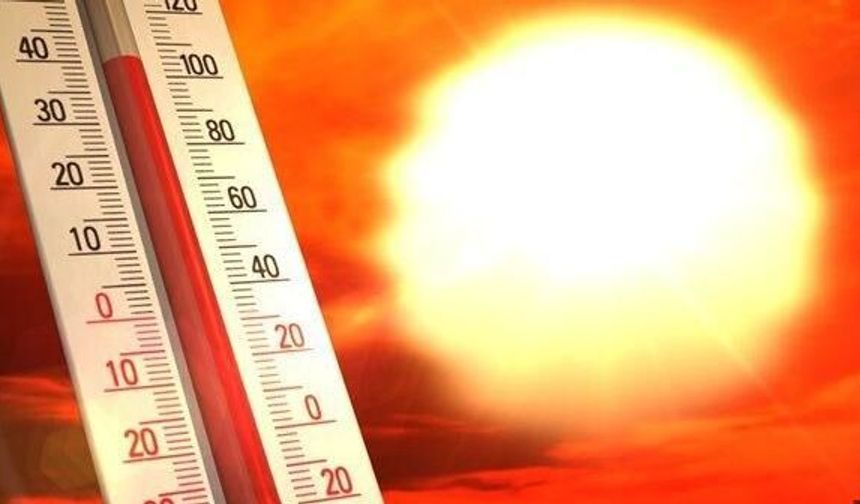 Almanya’da aşırı sıcaklardan 5 bin 120 kişi öldü