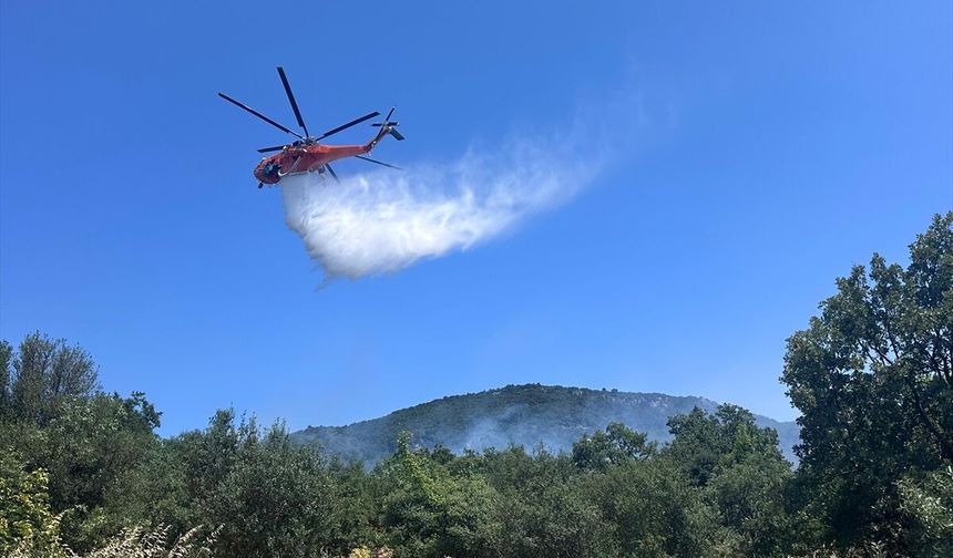 Çanakkale'de korkutan orman yangını