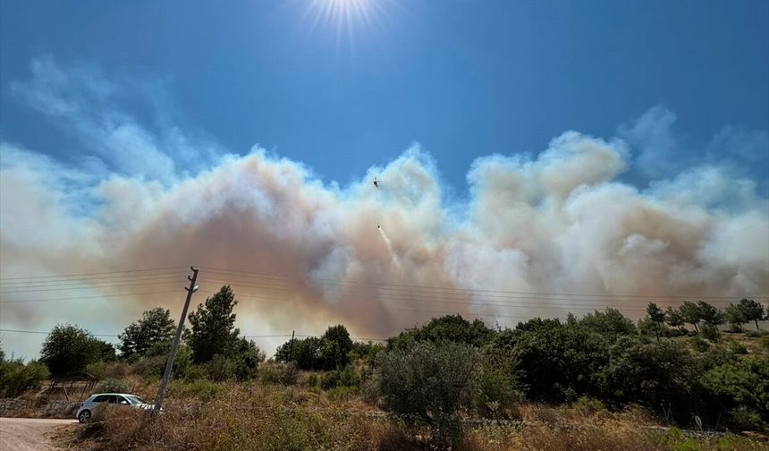 Kumluca'da orman yangını: Evler tahliye ediliyor