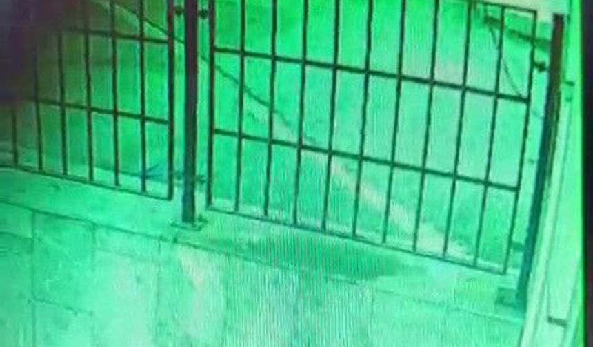 Kasklı şahıs dehşet saçtı