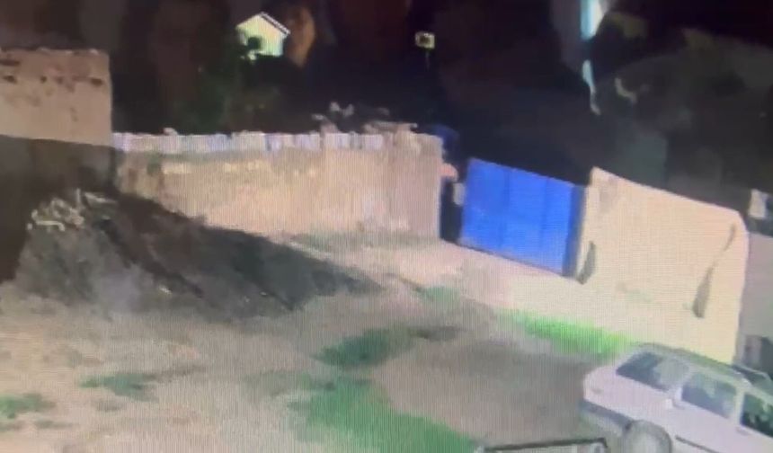 AK Partili üyeye saldırı kamerada