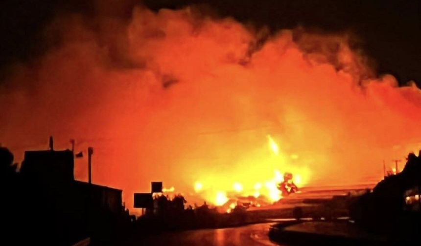 Alanya'da orman yangını muz seralarına sıçradı!