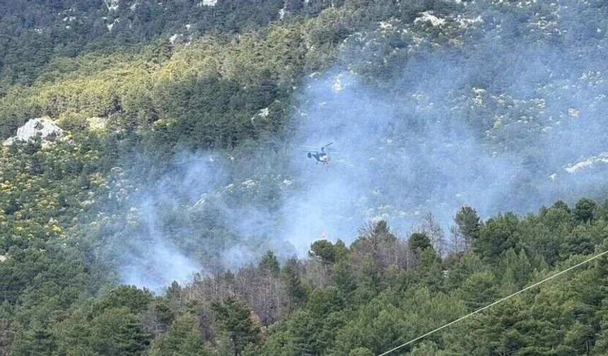 Antalya (Kumluca) yangını kontrol altına alındı