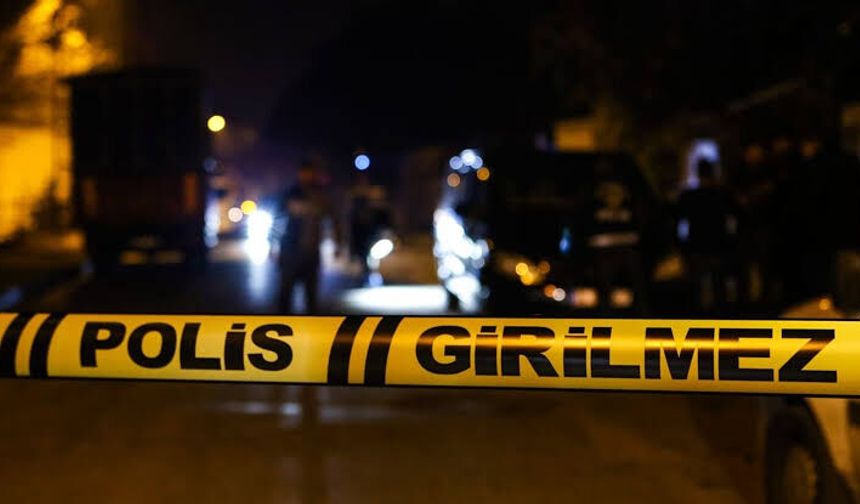 Kayınbiraderlerinin birini silahla vurdu, diğerini otomobille ezdi