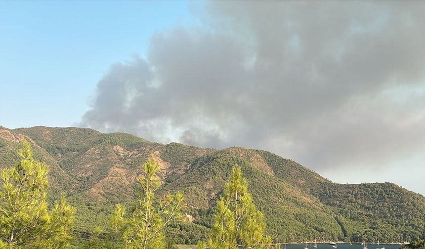 Marmaris'teki orman yangınına havadan ve karadan yoğun müdahale