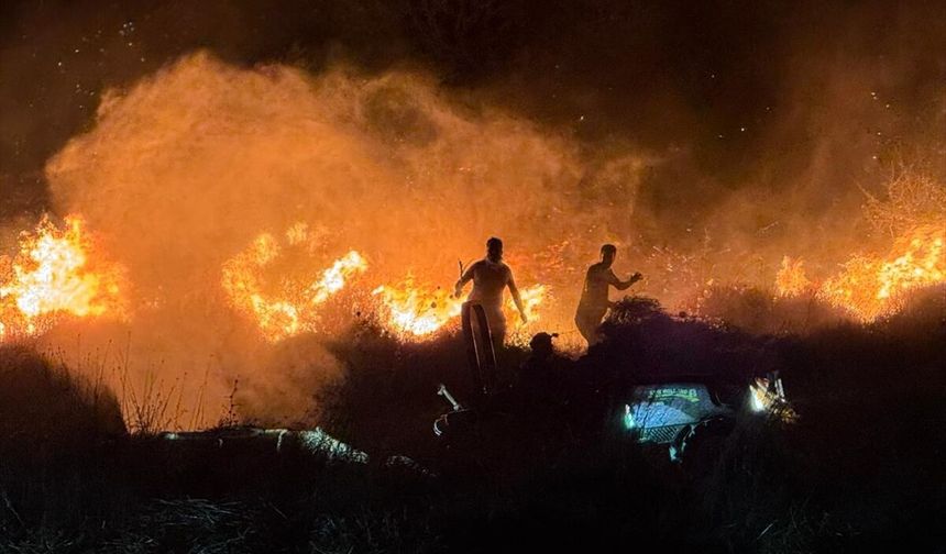 Fethiye'de orman yangını korkutuyor