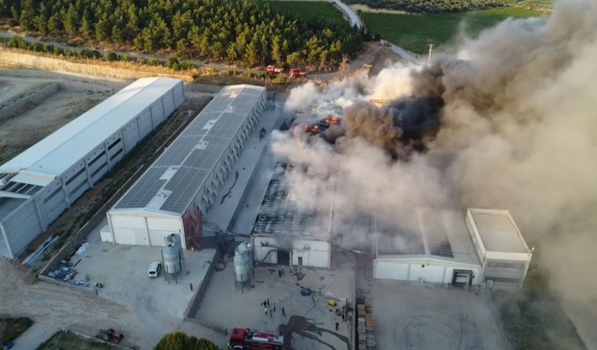 Alevler yumurta üretim tesisini küle çevirdi