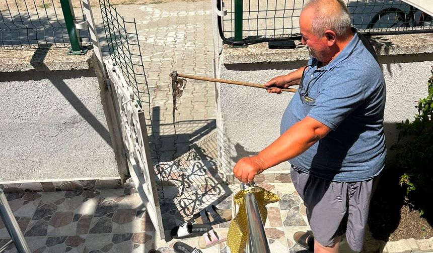 Yazlık sitede yılan alarmı