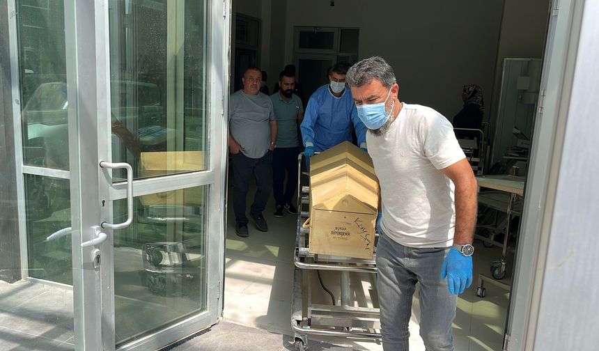 Kene yine can aldı!