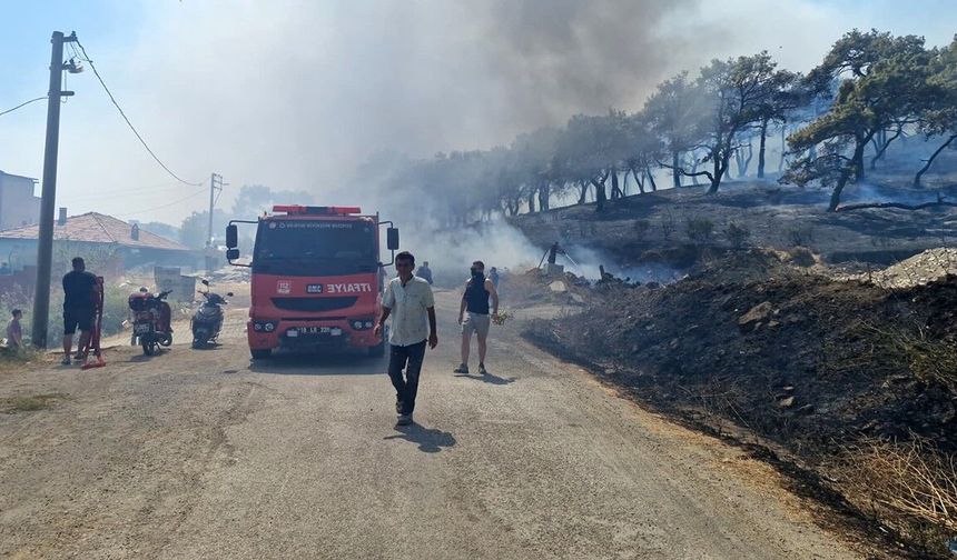 Kazdağları'nda yangın: 9 uçak ve 6 helikopter müdahale ediyor!