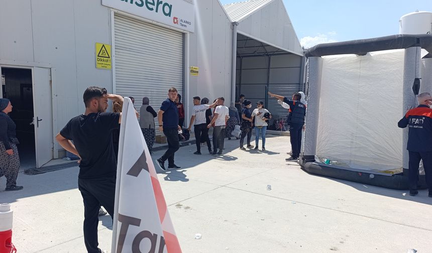 Domates serasında zehirlenenlerin sayısı 33'e yükseldi