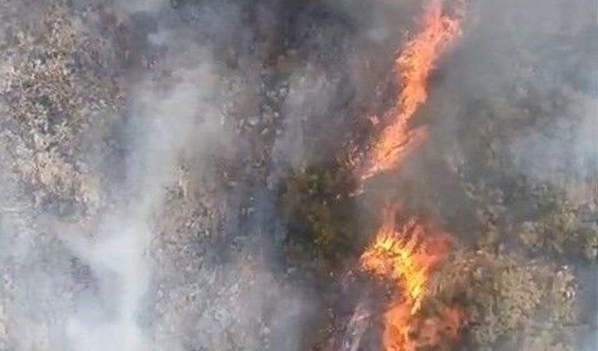 Bursa’da alevler ormana sıçradı: Havadan ve karadan yoğun müdahale