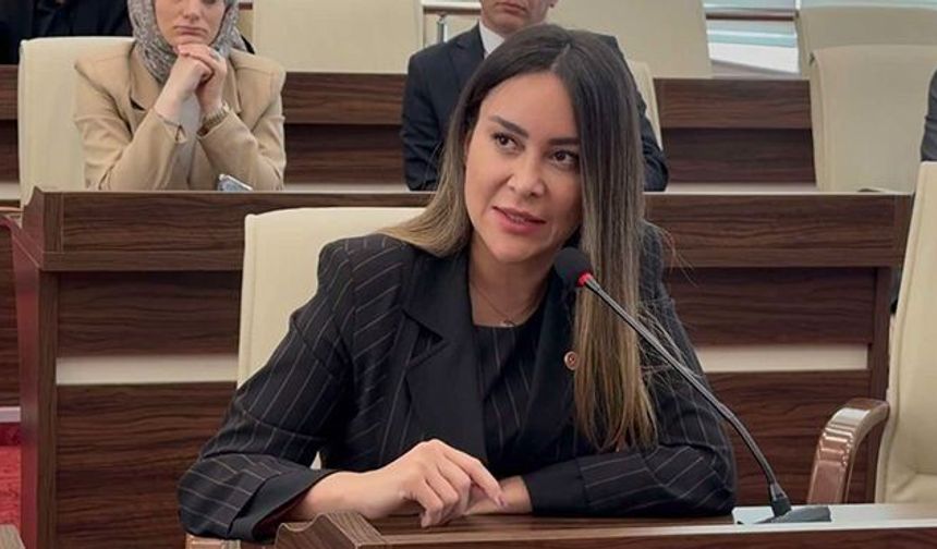 CHP’li meclis üyesi tutuklandı!