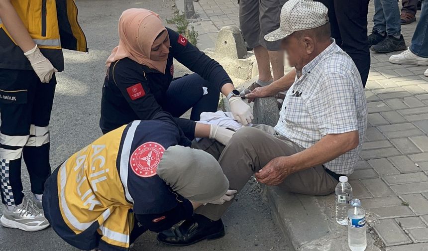 Yaşlı kardeşlerin miras kavgası kanlı bitti!