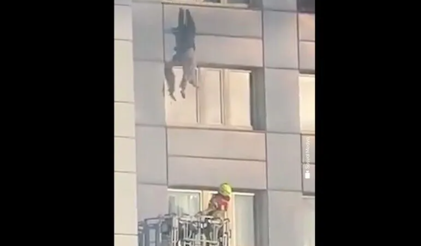 Berlin'de nefes kesen kurtuluş: 11. kattan kurtarma sepetine atladı