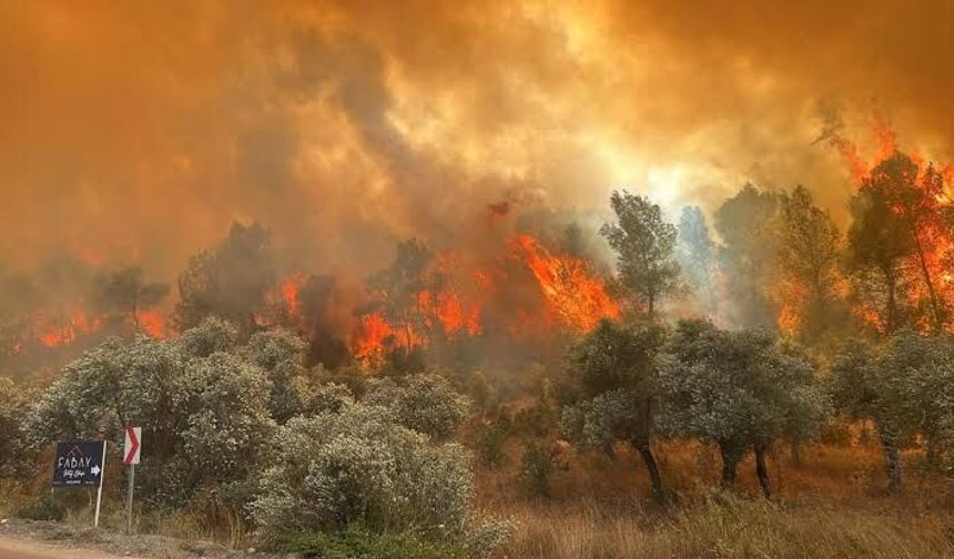 Balıkesir'de yangın kontrol altına alındı