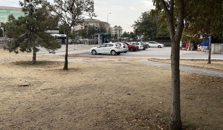 Kıskançlık kavgasında 15 yaşındaki çocuk bıçaklandı