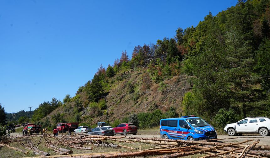 Daday'da elektrik akımı can aldı: Orman yangını çıktı!