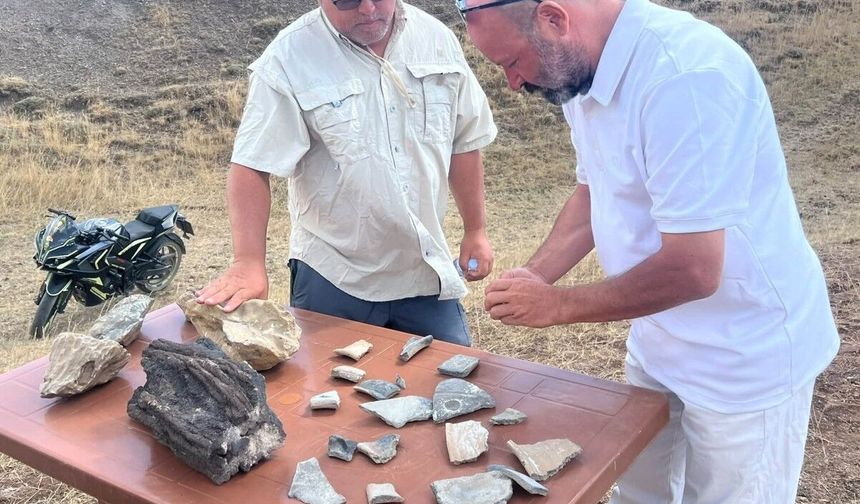 Ağrı Dağı'nda Nuh Tufanı öncesine ait kalıntılar bulundu