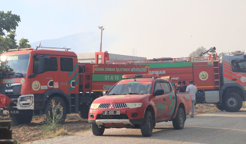 Evlerin yanında orman yangını çıktı