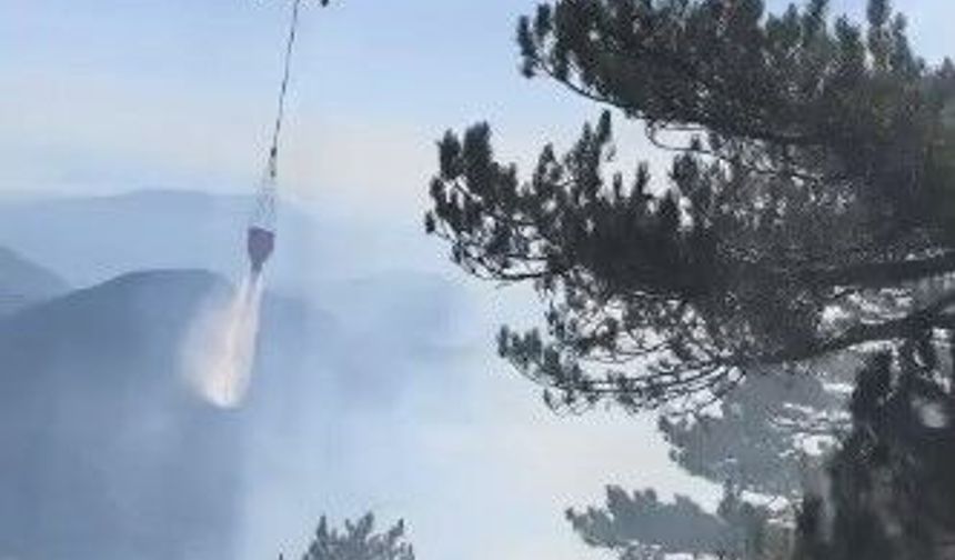 Fethiye’deki orman yangını kontrol altına alındı