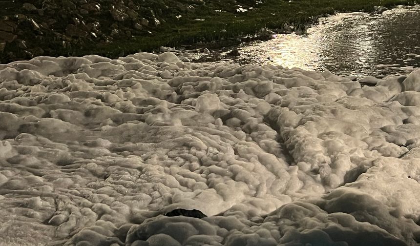 İzmit'te sahildeki köpükler merak uyandırdı