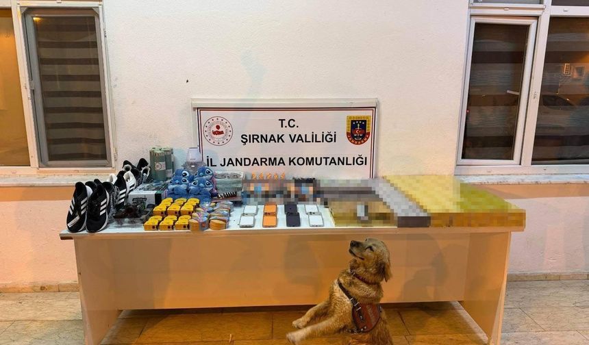 Şırnak’ta jandarmadan kaçakçılık operasyonu