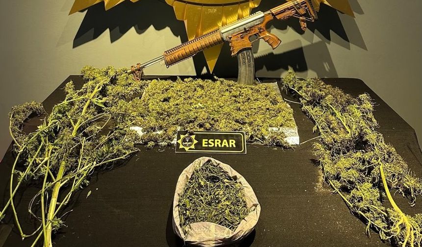 Malatya'da 2 kilo esrar ele geçirildi
