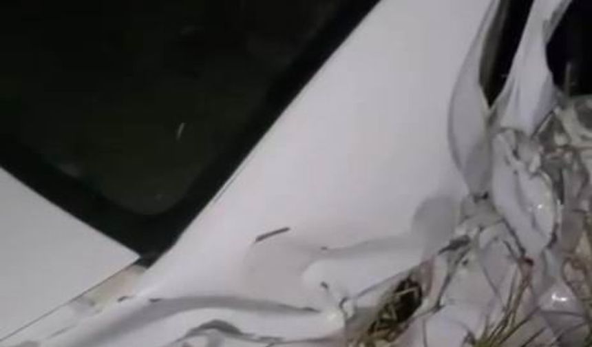 Diyarbakır'da araç yoldan çıkıp takla attı: 1 yaralı