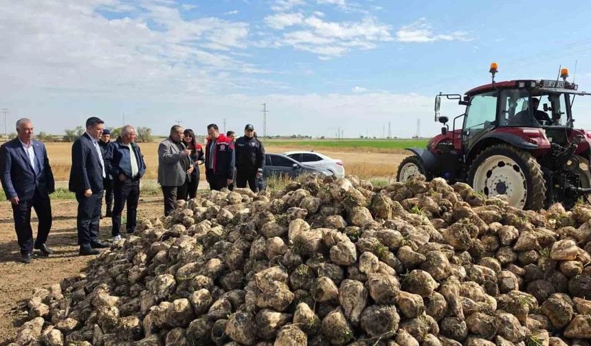 Şeker pancarı alım fiyatları belirlendi!
