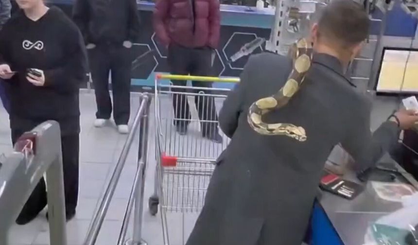 Boynuna dolanan 'Piton'uyla alışverişe çıktı!
