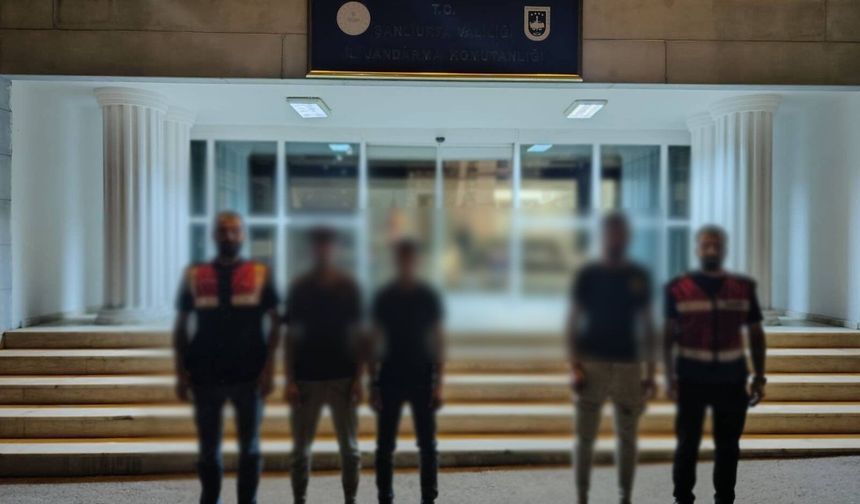 Şanlıurfa’da 9 göçmen kaçakçısı yakalandı