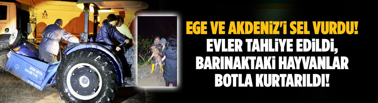Barınaktaki 27 köpek selden botlarla kurtarıldı!