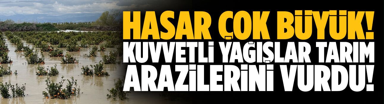 Kuvvetli yağışlar tarım arazilerini vurdu