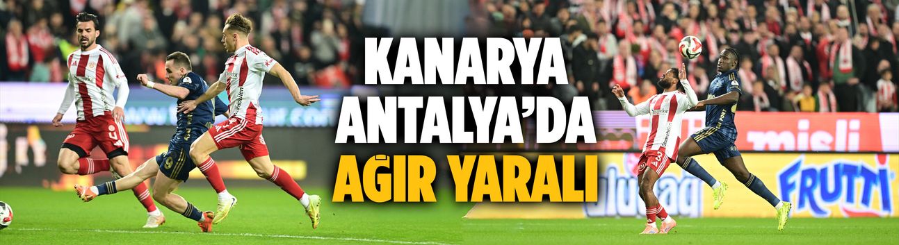 Kanarya Antalya’da ağır yaralı