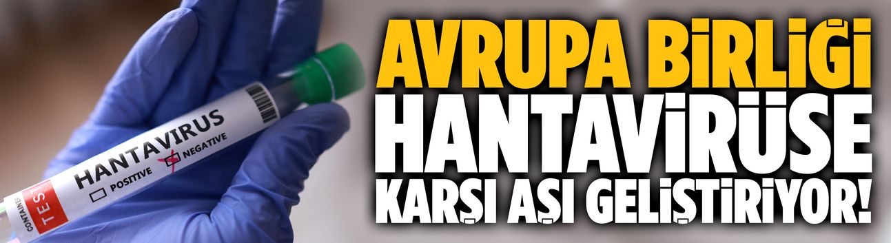 AB, hantavirüse karşı aşı geliştiriyor!