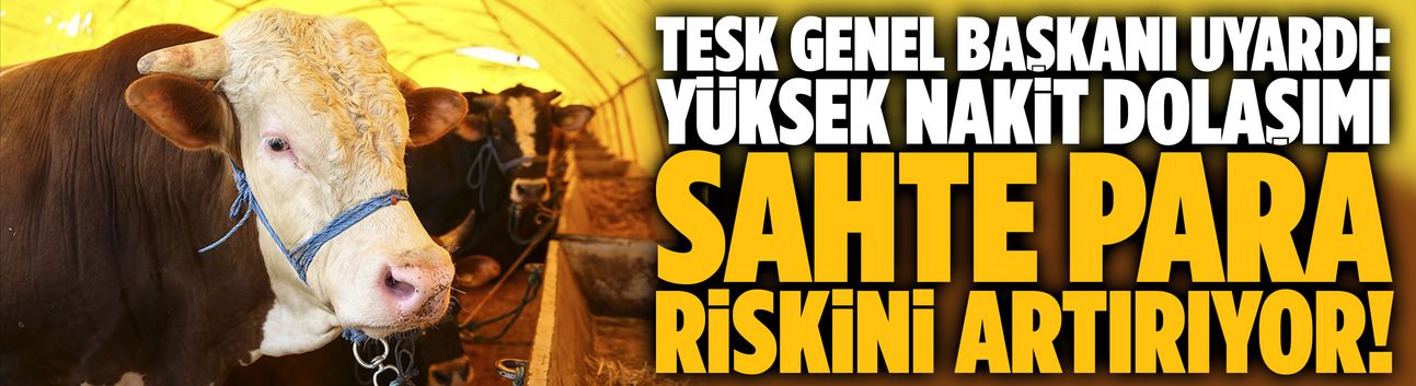 TESK Genel Başkanı: Yüksek nakit dolaşımı sahte para riskini artırıyor!