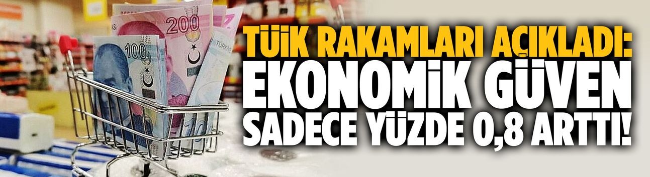 Ekonomik güven yüzde 0,8 arttı!