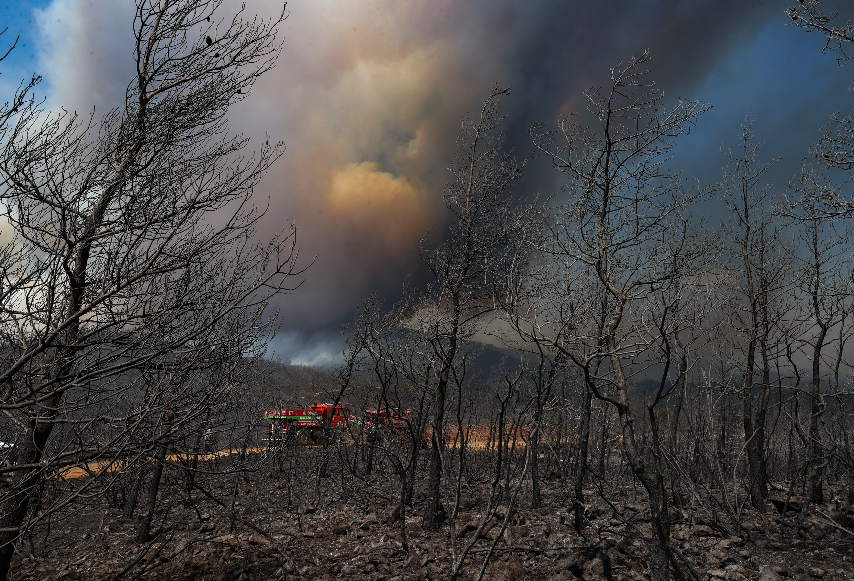 AA-20220622-28226481-28226476-MARMARISTEKI_ORMAN_YANGININA_HAVADAN_VE_KARADAN_MUDAHALE_EDILIYOR