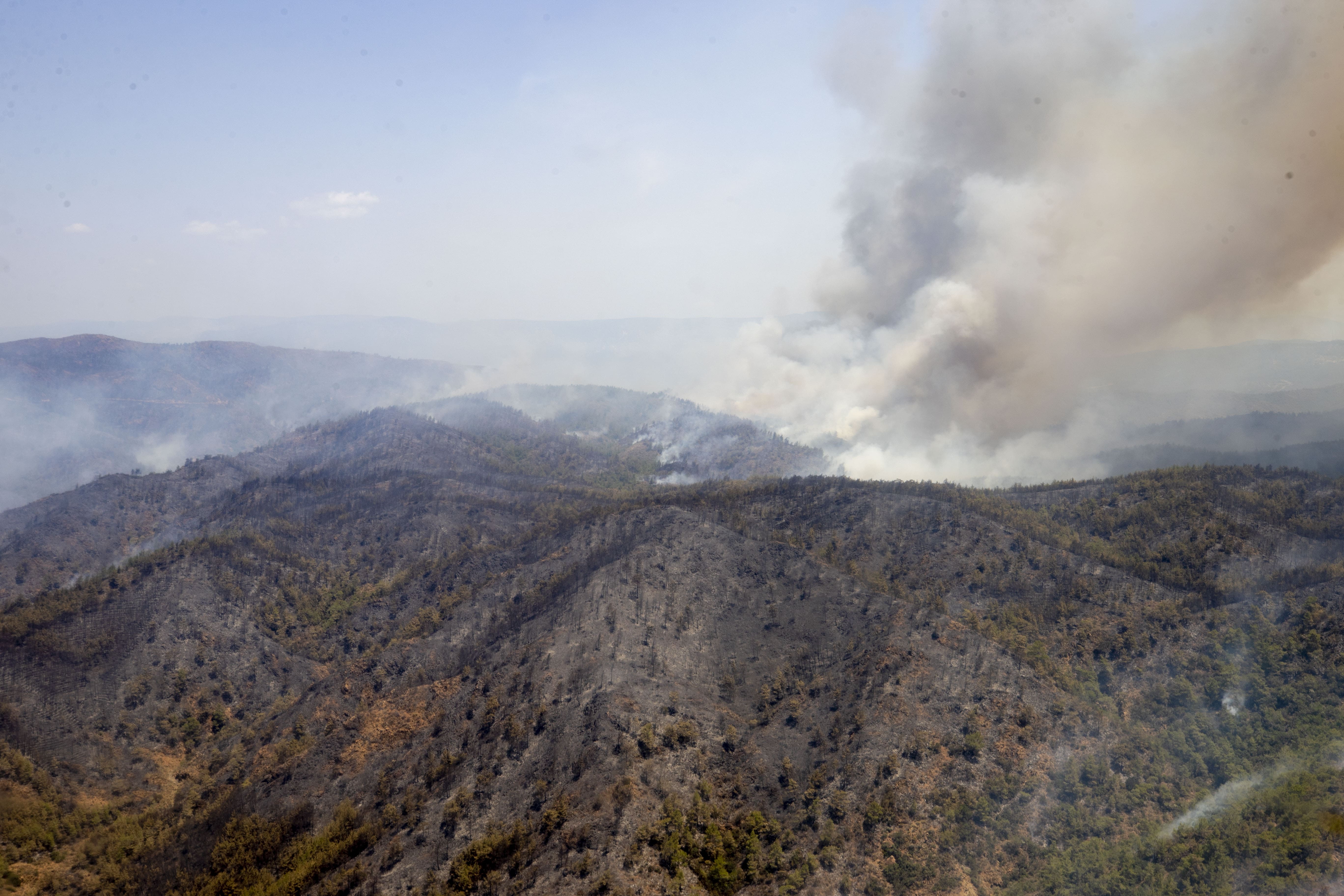Marmaris'in ormanları yandı: Yürek yakan görüntü