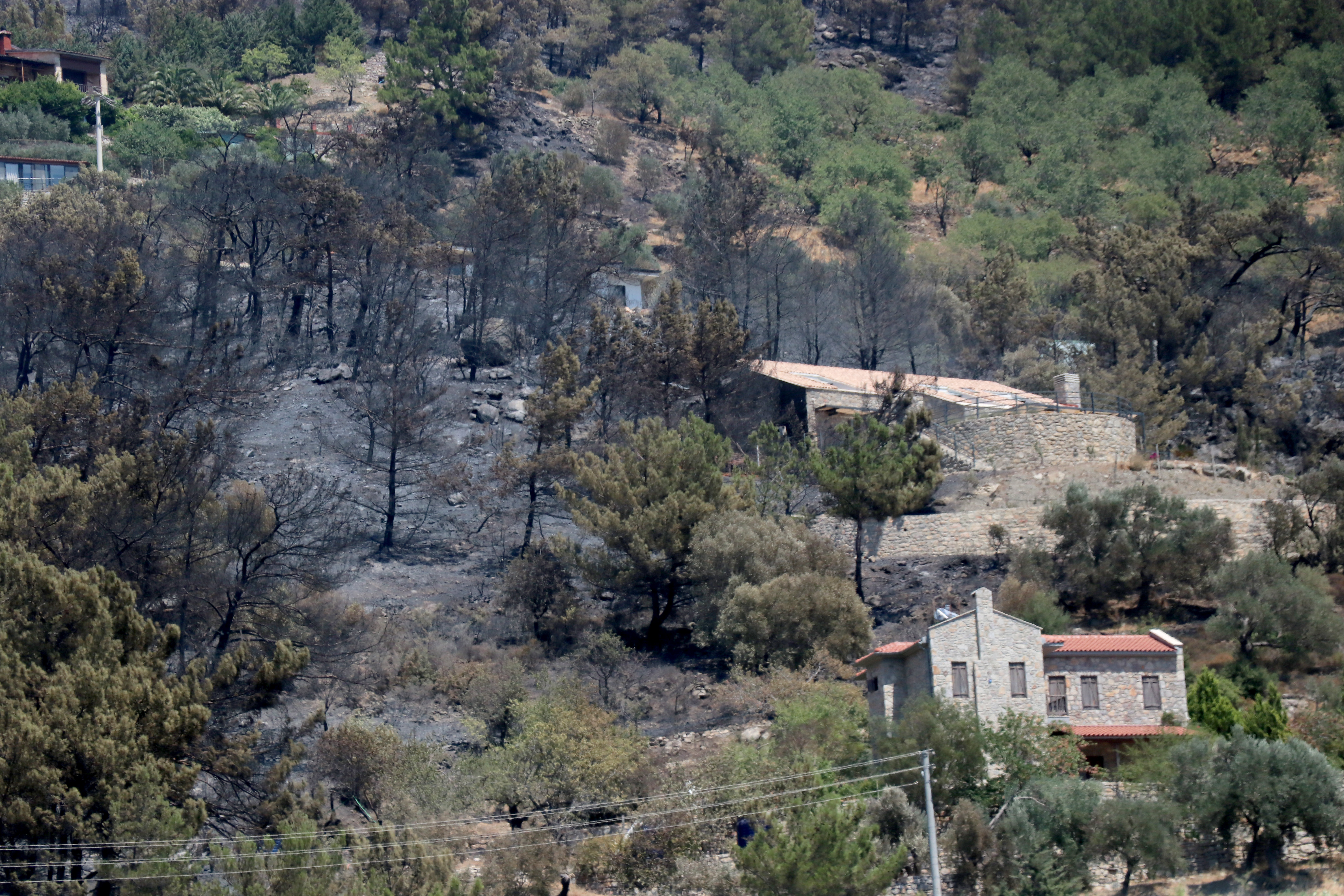 AA-20220714-28420032-28420026-DATCADA_YANGIN_BOLGESINDEKI_VATANDASLARA_UMKE_EKIPLERINCE_SAGLIK_HIZMETI_VERILDI