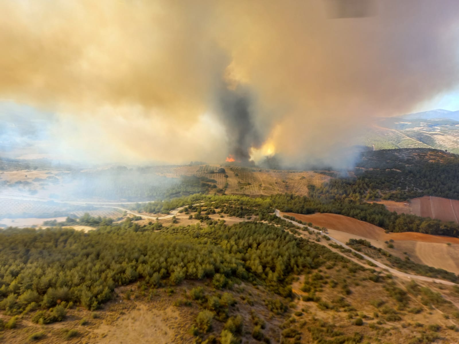 AA-20220724-28491386-28491383-MANISADA_ORMAN_YANGINI_CIKTI