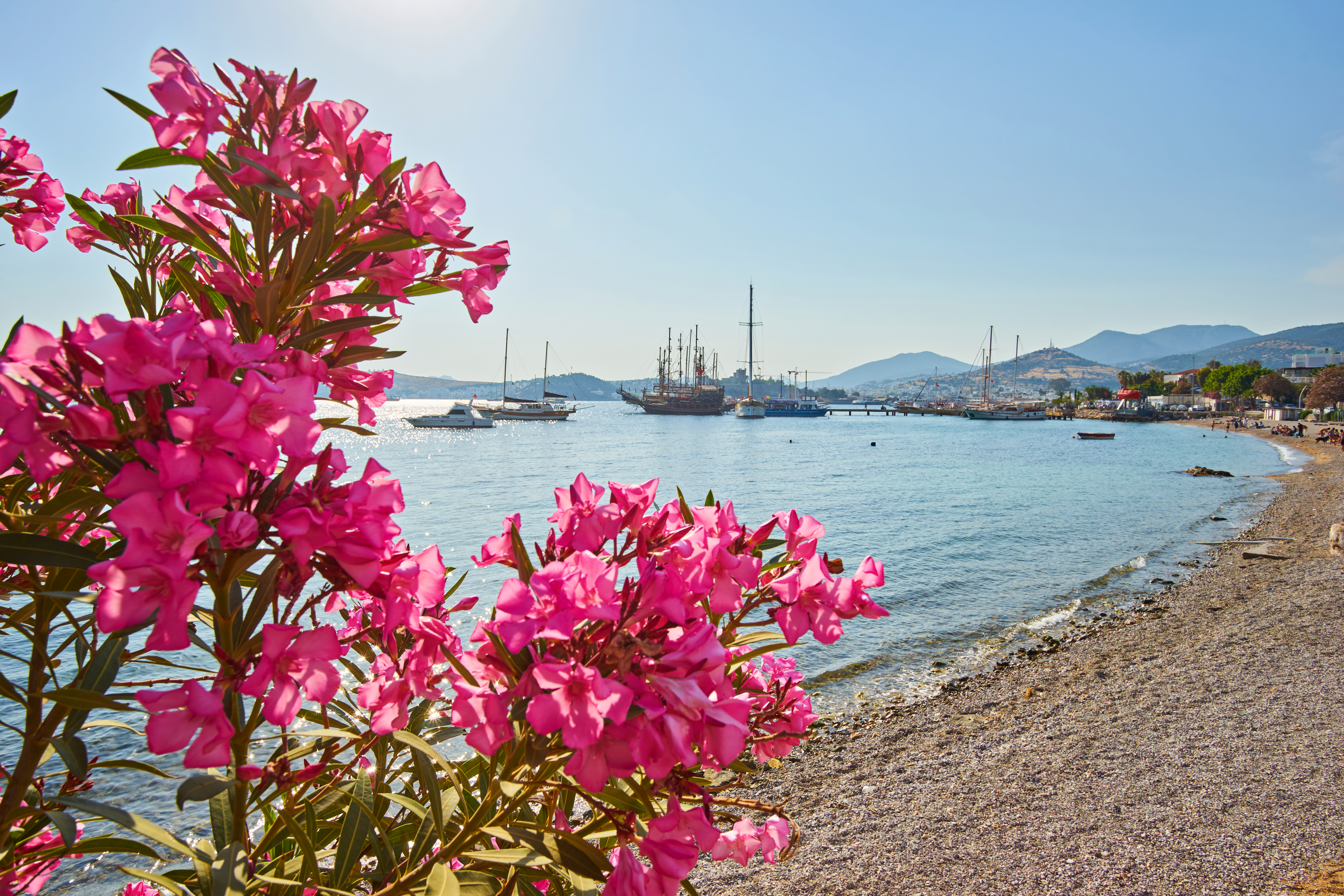 view-bodrum-beach-aegean-sea-traditional-white-houses-flowers-marina-sailing-boats