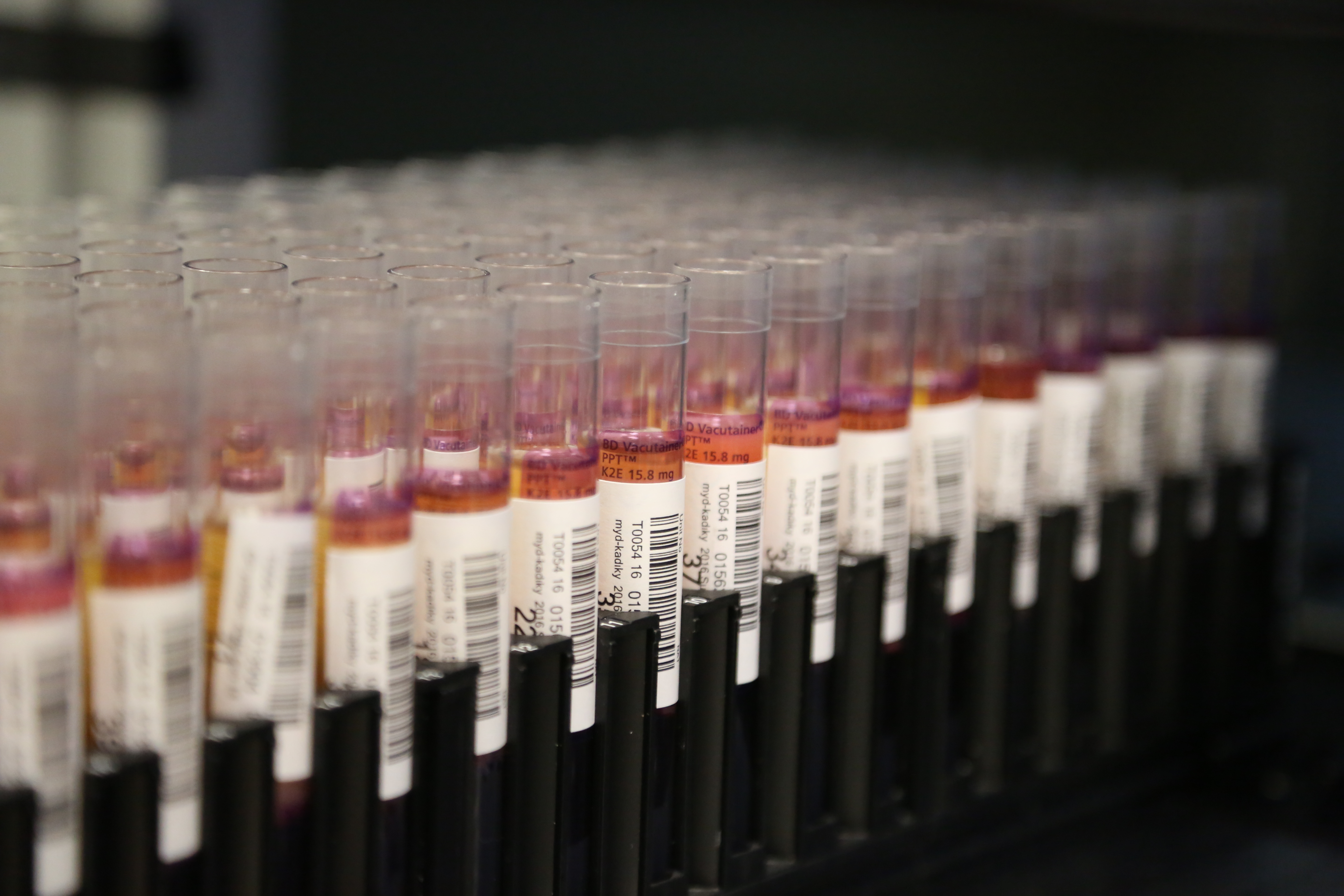 AA-20220917-28921205-28921201-KOK_HUCRE_BAGISCISI_850_BINE_ULASTI