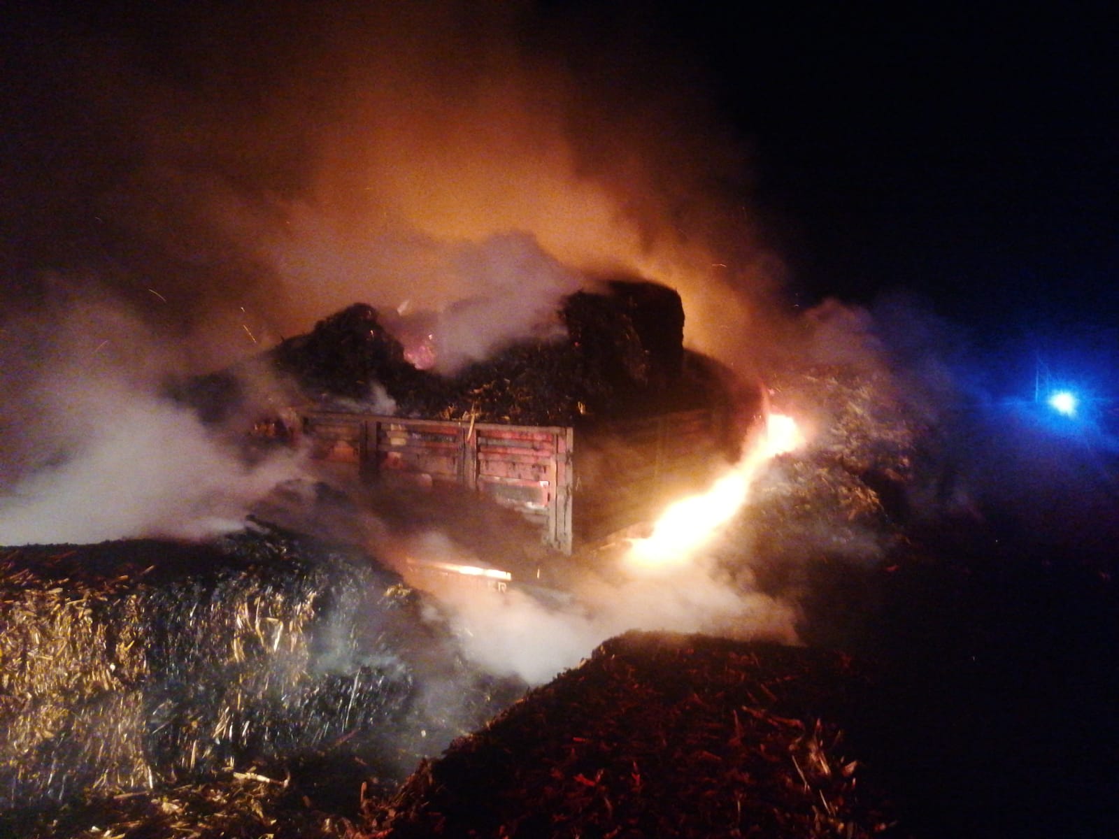 AA-20221020-29208592-29208590-MERSINDE_SEYIR_HALINDEKI_TIRIN_DORSESI_YANDI