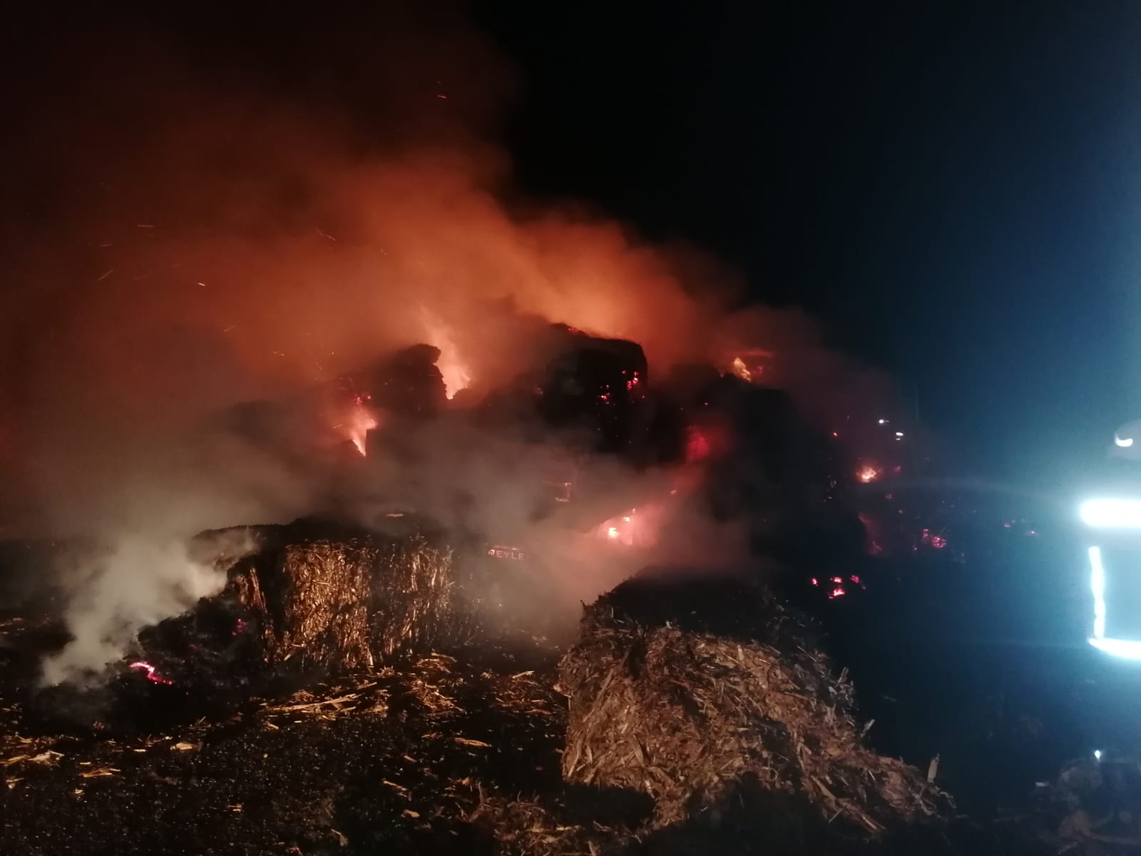 AA-20221020-29208592-29208591-MERSINDE_SEYIR_HALINDEKI_TIRIN_DORSESI_YANDI