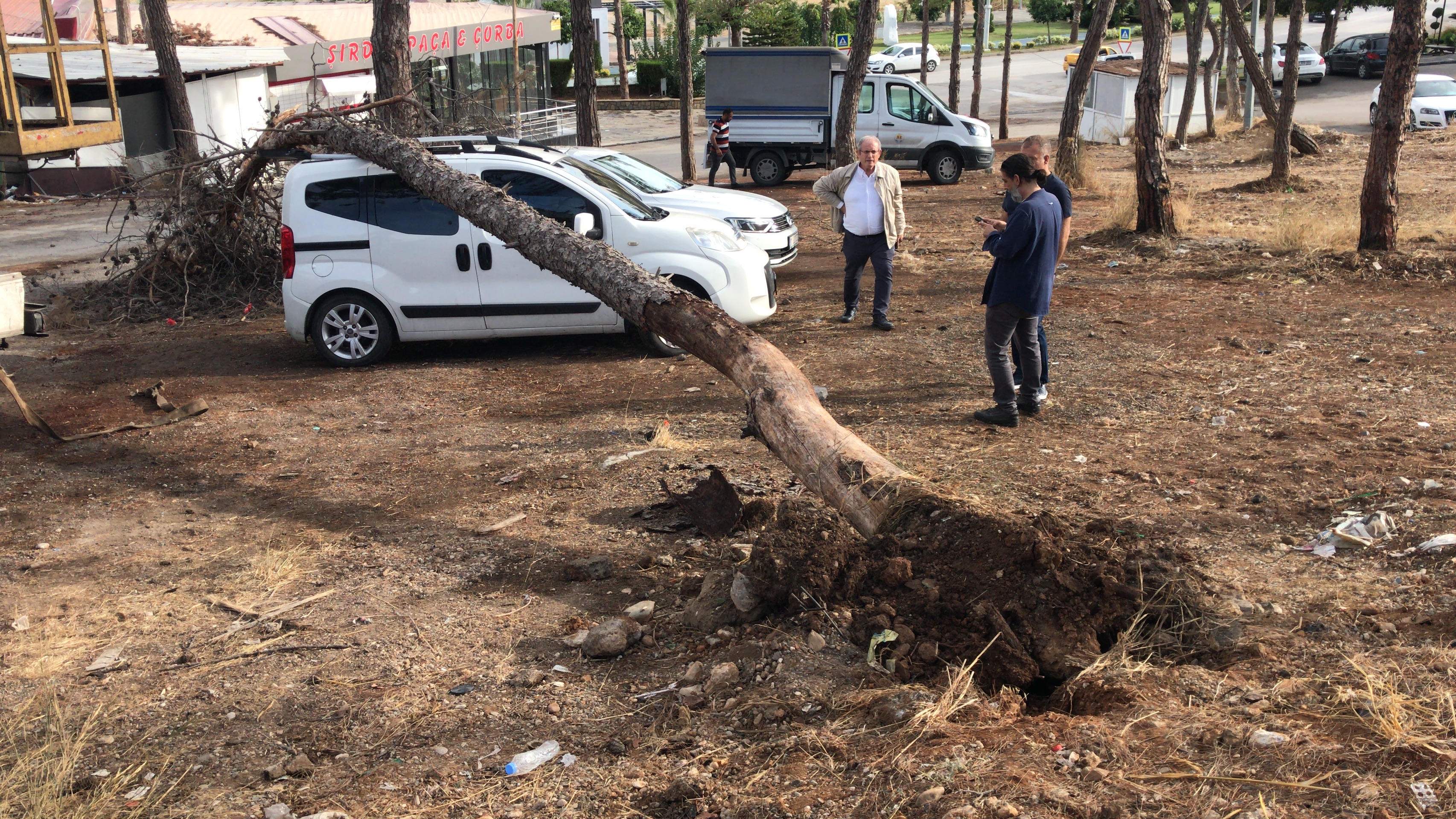 AA-20221015-29165520-29165515-ADANADA_PARK_HALINDEKI_IKI_ARACIN_UZERINE_AGAC_DEVRILDI