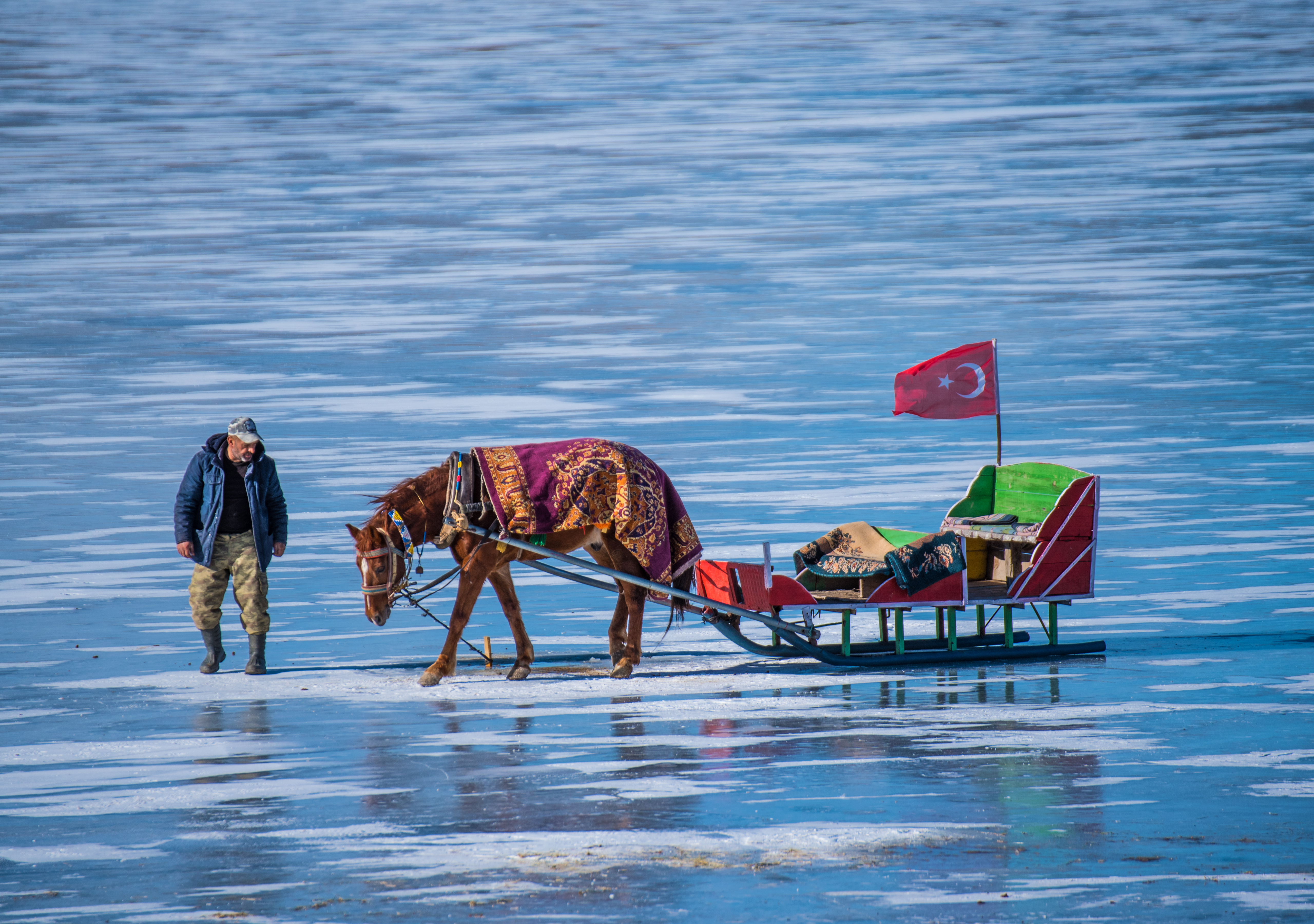 Kızakçı atları Çıldır Gölü'nde hazır